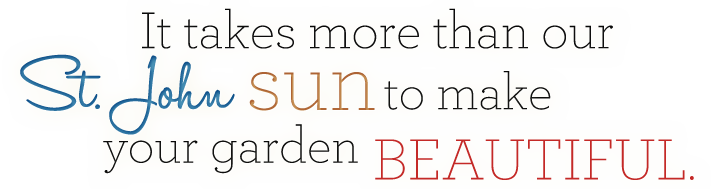 It takes more than our St. John sun to make your garden beautiful. It takes Propertyking USVI